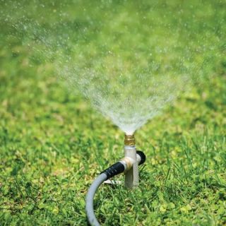Lifetime Sprinkler Thumbnail